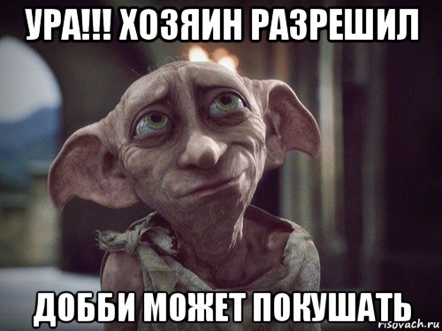 ура!!! хозяин разрешил добби может покушать, Мем Добби свободен
