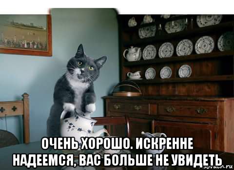  очень хорошо. искренне надеемся, вас больше не увидеть
