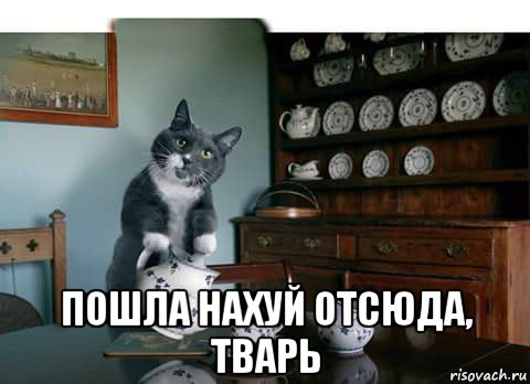  пошла нахуй отсюда, тварь