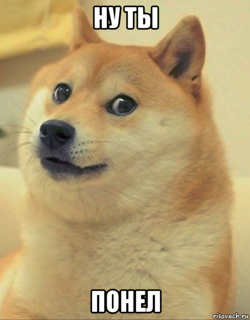 ну ты понел, Мем doge woof