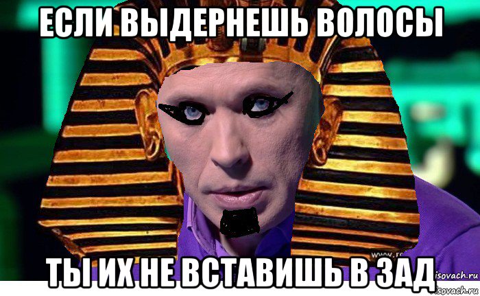 если выдернешь волосы ты их не вставишь в зад