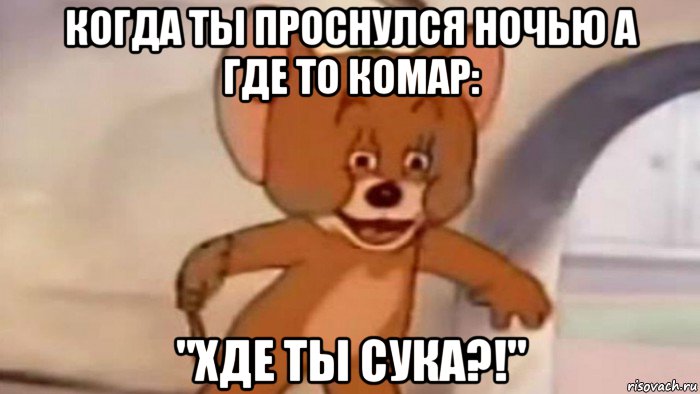 когда ты проснулся ночью а где то комар: "хде ты сука?!"