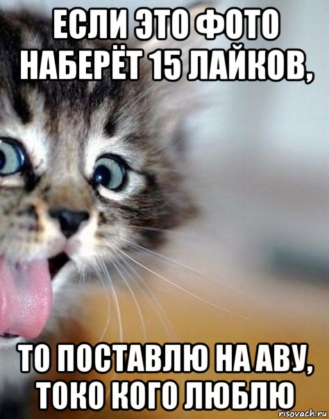 если это фото наберёт 15 лайков, то поставлю на аву, токо кого люблю