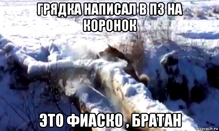грядка написал в пз на коронок это фиаско , братан