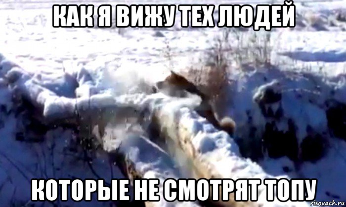 как я вижу тех людей которые не смотрят топу