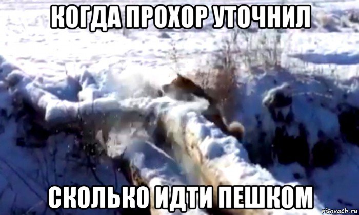 когда прохор уточнил сколько идти пешком