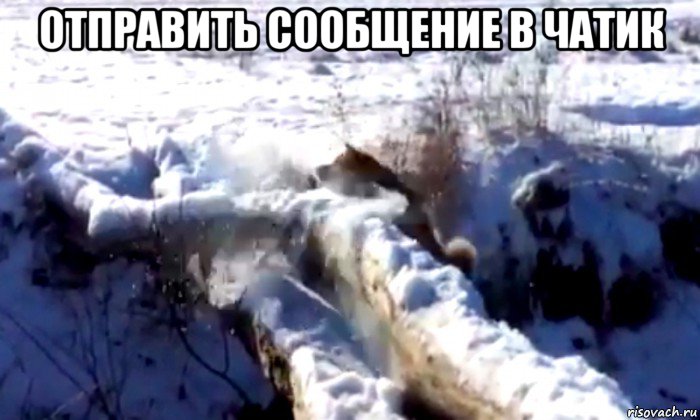 отправить сообщение в чатик 