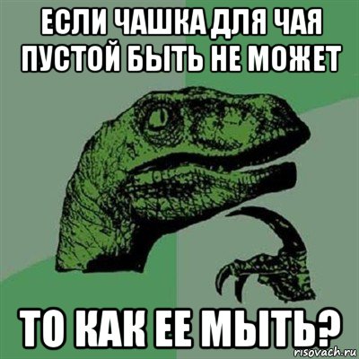 если чашка для чая пустой быть не может то как ее мыть?, Мем Филосораптор