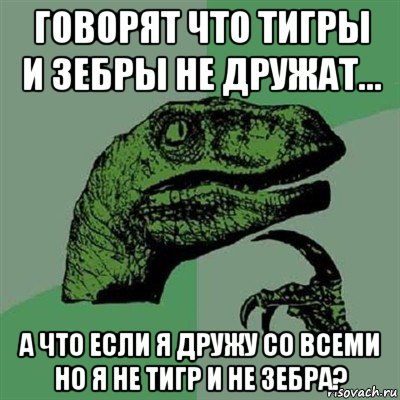 говорят что тигры и зебры не дружат... а что если я дружу со всеми но я не тигр и не зебра?, Мем Филосораптор