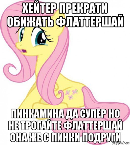 хейтер прекрати обижать флаттершай пинкамина да супер но не трогайте флаттершай она же с пинки подруги