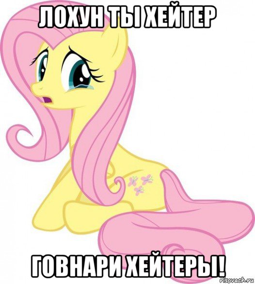 лохун ты хейтер говнари хейтеры!