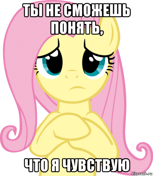 ты не сможешь понять, что я чувствую