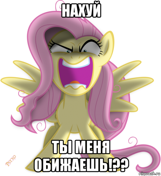 нахуй ты меня обижаешь!??