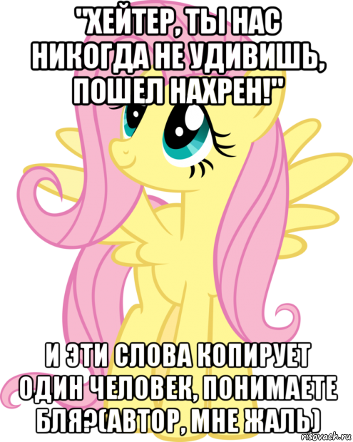 "хейтер, ты нас никогда не удивишь, пошел нахрен!" и эти слова копирует один человек, понимаете бля?(автор, мне жаль), Мем Флаттершай