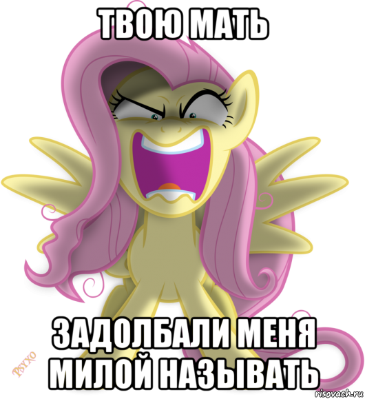 твою мать задолбали меня милой называть