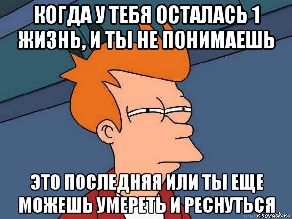 когда у тебя осталась 1 жизнь, и ты не понимаешь это последняя или ты еще можешь умереть и реснуться, Мем  Фрай (мне кажется или)