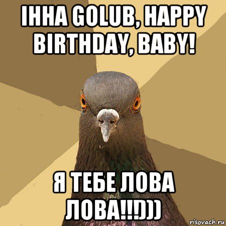 інна golub, happy birthday, baby! я тебе лова лова!!!))), Мем голубь