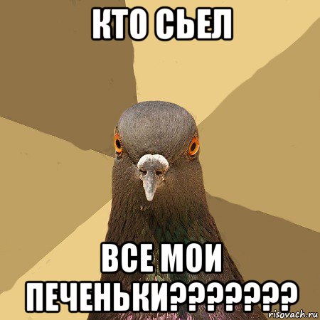 кто сьел все мои печеньки???????