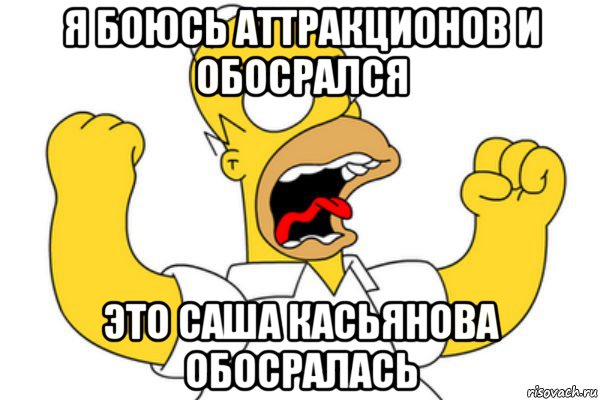 я боюсь аттракционов и обосрался это саша касьянова обосралась, Мем Разъяренный Гомер