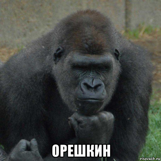  орешкин