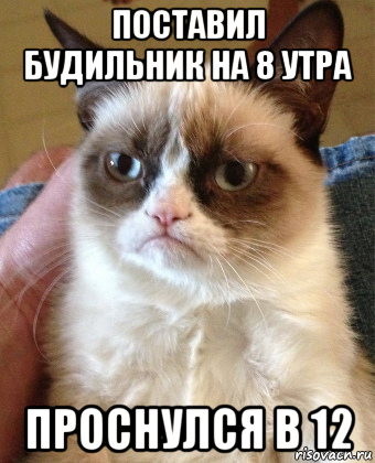 поставил будильник на 8 утра проснулся в 12, Мем Grumpy Cat small