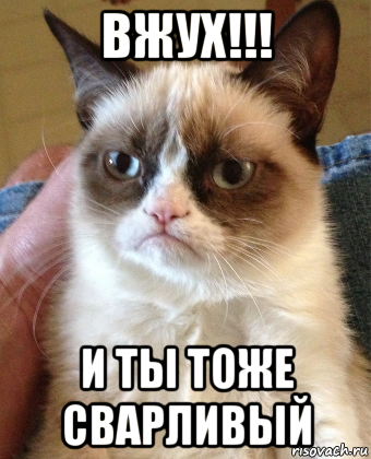 вжух!!! и ты тоже сварливый, Мем Grumpy Cat small