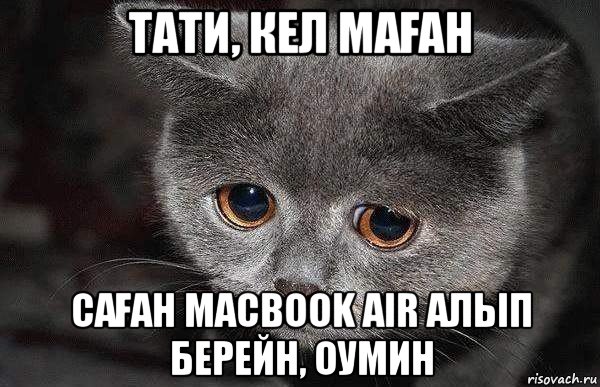 тати, кел маҒан саҒан macbook air алып берейн, оумин, Мем  Грустный кот