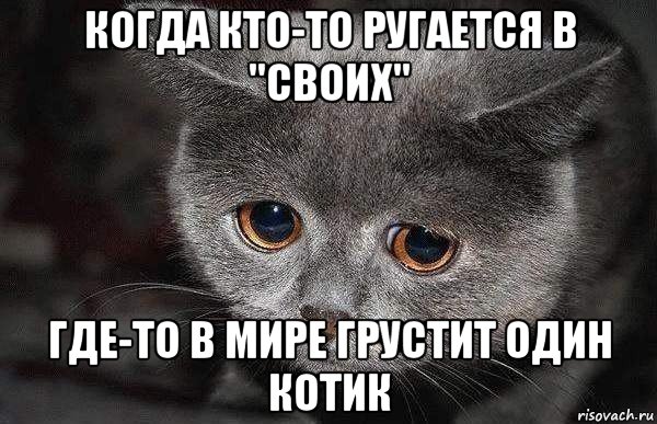 когда кто-то ругается в "своих" где-то в мире грустит один котик, Мем  Грустный кот