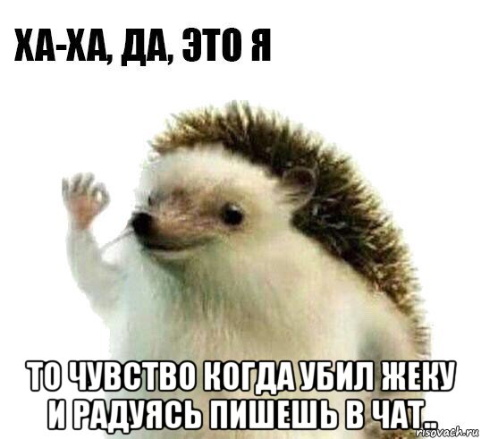  то чувство когда убил жеку и радуясь пишешь в чат.., Мем Ха-ха да это я