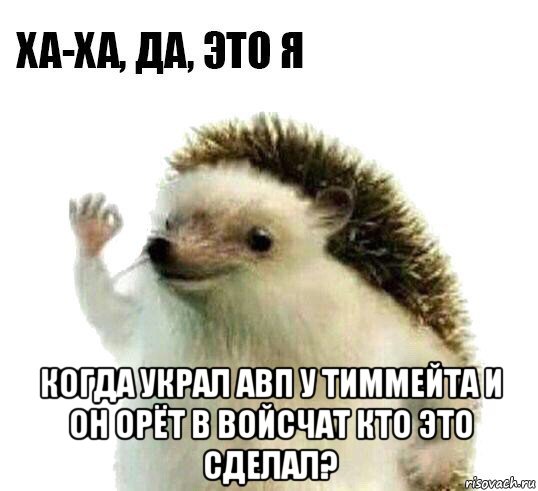  когда украл авп у тиммейта и он орёт в войсчат кто это сделал?, Мем Ха-ха да это я