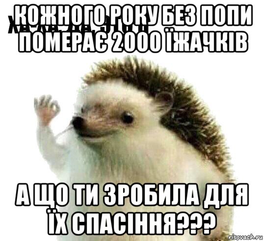 кожного року без попи померає 2000 їжачків а що ти зробила для їх спасіння???, Мем Ха-ха да это я