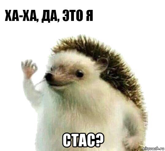  стас?, Мем Ха-ха да это я