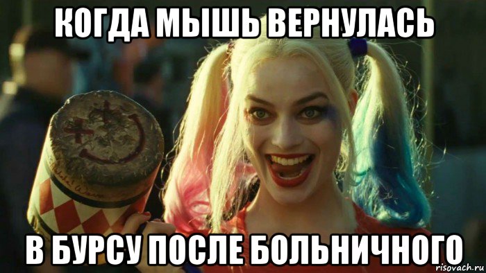 когда мышь вернулась в бурсу после больничного, Мем    Harley quinn