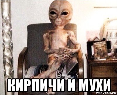  кирпичи и мухи