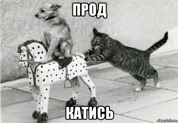 прод катись, Мем Катись к хуям