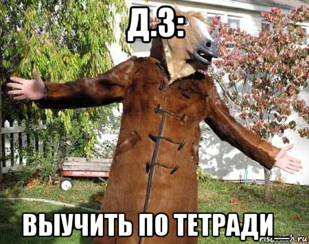 д.з: выучить по тетради_