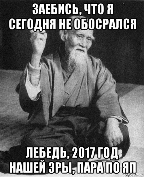 заебись, что я сегодня не обосрался лебедь, 2017 год нашей эры, пара по яп, Мем конфуций