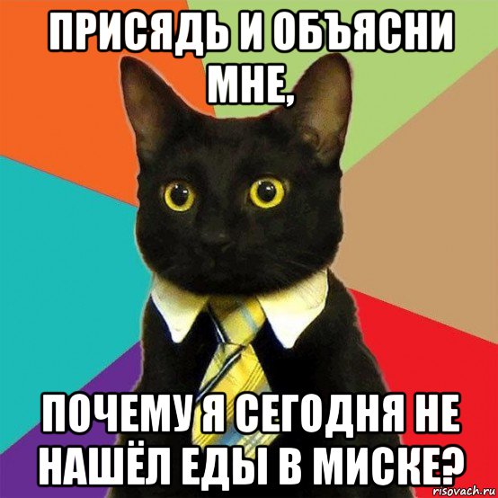 присядь и объясни мне, почему я сегодня не нашёл еды в миске?, Мем  Кошечка