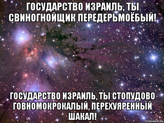 государство израиль, ты свиногнойщик передерьмоёбый! государство израиль, ты стопудово говномокрокалый, перехуяренный шакал!, Мем Космос