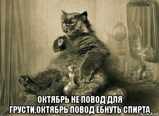  октябрь не повод для грусти,октябрь повод ебнуть спирта