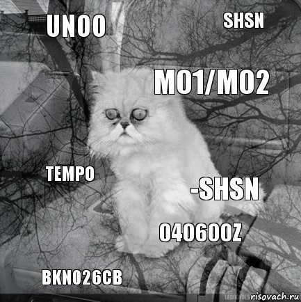 UNOO -SHSN M01/M02 BKN026CB TEMPO SHSN 040600Z   , Комикс  кот безысходность