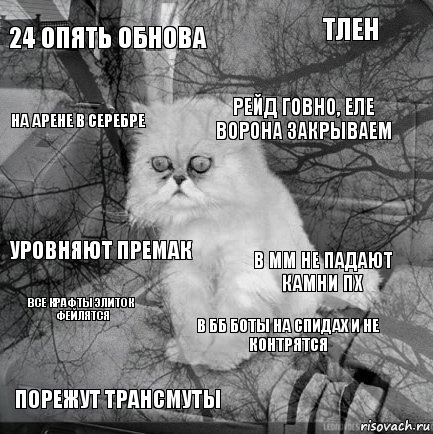 24 опять обнова в мм не падают камни пх рейд говно, еле ворона закрываем порежут трансмуты уровняют премак тлен в бб боты на спидах и не контрятся на арене в серебре все крафты элиток фейлятся , Комикс  кот безысходность