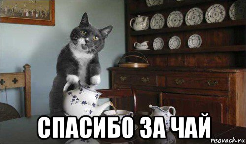  спасибо за чай