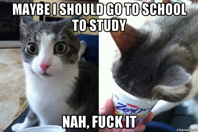 maybe i should go to school to study nah, fuck it