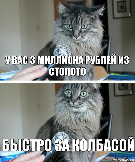 У вас 3 миллиона рублей из столото Быстро за колбасой, Комикс  кот с микрофоном