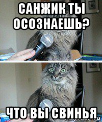 санжик ты осознаешь? что вы свинья