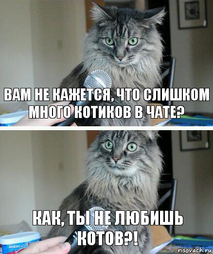 вам не кажется, что слишком много котиков в чате? как, ты не любишь котов?!, Комикс  кот с микрофоном