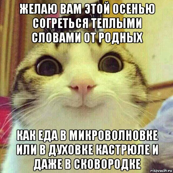 желаю вам этой осенью согреться теплыми словами от родных как еда в микроволновке или в духовке кастрюле и даже в сковородке, Мем       Котяка-улыбака