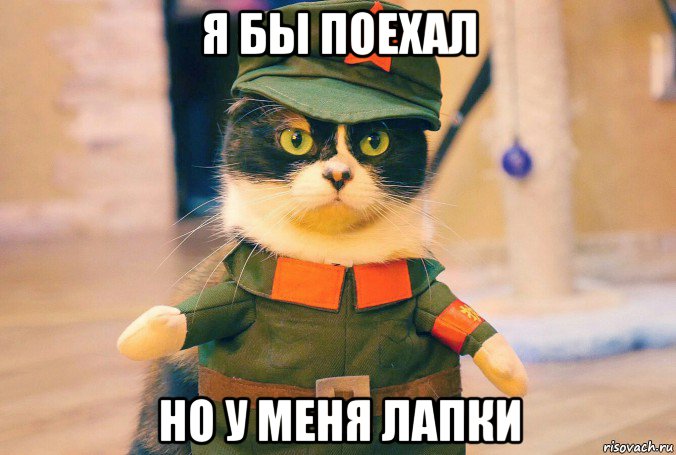 я бы поехал но у меня лапки, Мем Лапки