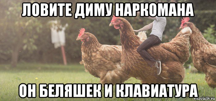 ловите диму наркомана он беляшек и клавиатура